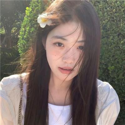透光的树