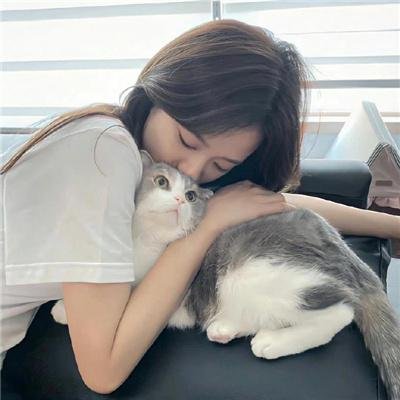 从容的快板