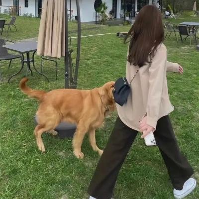 修仙巨富至尊